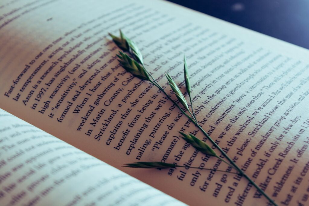 word counting on a novel book
