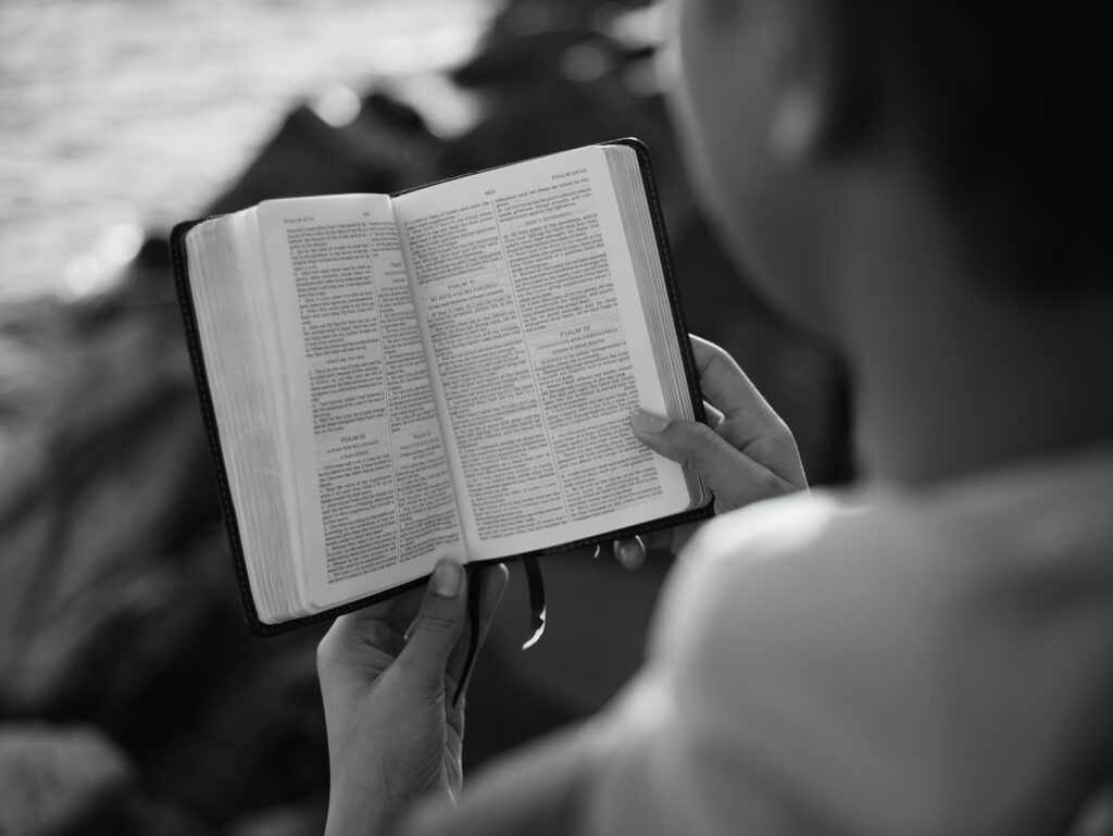 reading paragraphs in a chapter of a novel